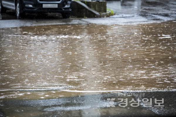 자료사진