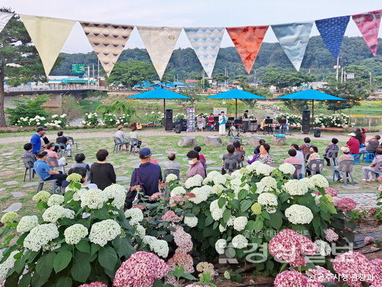 ▲ 공주 유구색동수국정원 꽃축제.