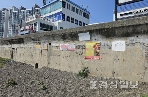 지난 14~15일 찾은 울산 동구 주전해변과 북구 강동 몽돌해변 곳곳에 도료 등을 이용한 광고물이 즐비했다.