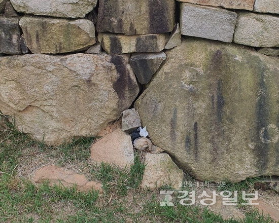성곽 돌 사이에 끼워진 개 분변 봉투 모습