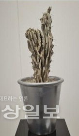 ▲ 강태호 작가의 ‘갈증’