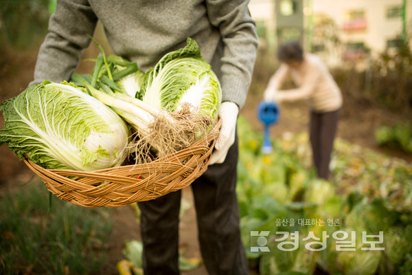자료사진 / 아이클릭아트