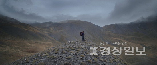 ▲ 양치기 펠릭스
