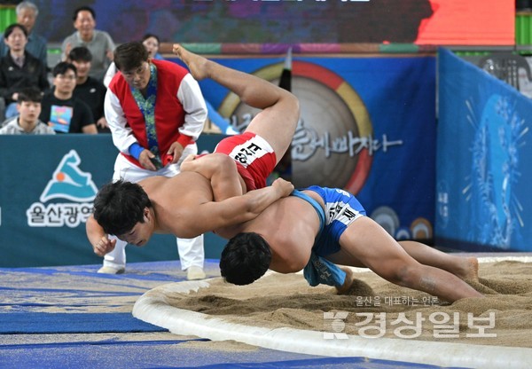 12일 경남 김해시문화체육관에서 열린 제105회 전국체육대회 씨름경기 남고부 역사급에서 금메달을 차지한 울산 김성재(강남고)가 경기를 펼치고 있다. 김해=김동수기자 dskim@ksilbo.co.kr