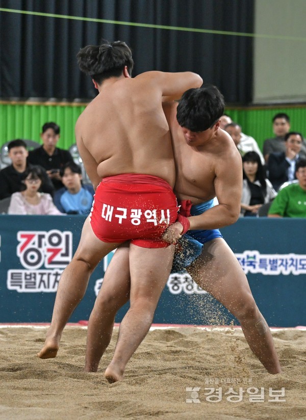 12일 경남 김해시문화체육관에서 열린 제105회 전국체육대회 씨름경기 남고부 역사급에서 금메달을 차지한 울산 김성재(강남고)가 경기를 펼치고 있다. 김해=김동수기자 dskim@ksilbo.co.kr
