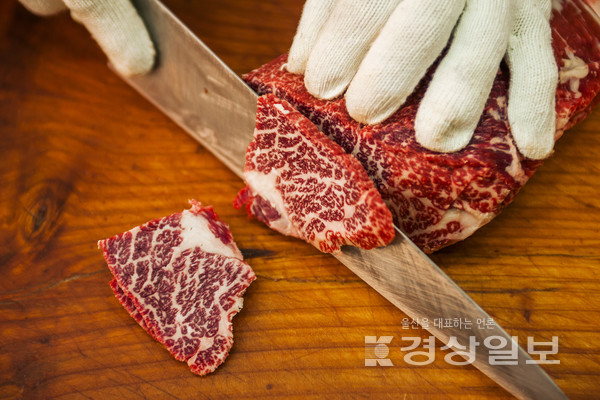 자료사진