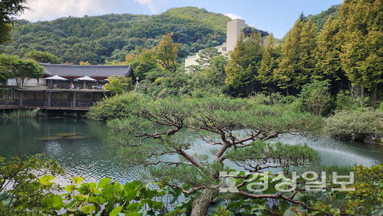 ▲ 경기도 광주의 화담숲.
