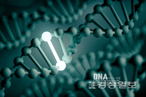 DNA(자료사진)