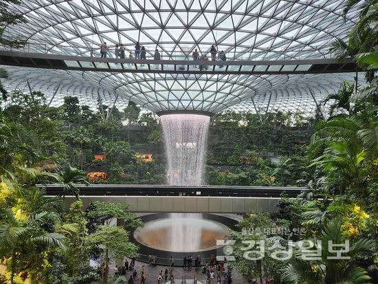 ▲ 쥬얼 창이(Jewel Changi)에는 1만 그루가 넘는 나무와 식물로 조성된 열대우림 정원이 조성됐다.