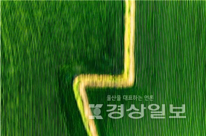 ▲ 김동필 작가의 ‘경주0814202207’