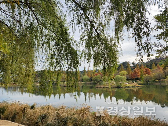 ▲ ‘2023 순천만국제정원박람회’ 성공 개최를 계기로 순천만국가정원은 봄·여름·가을·겨울 사계절 내내 관광객 발길이 끊이지 않는 관광명소로 다시 태어났다.
