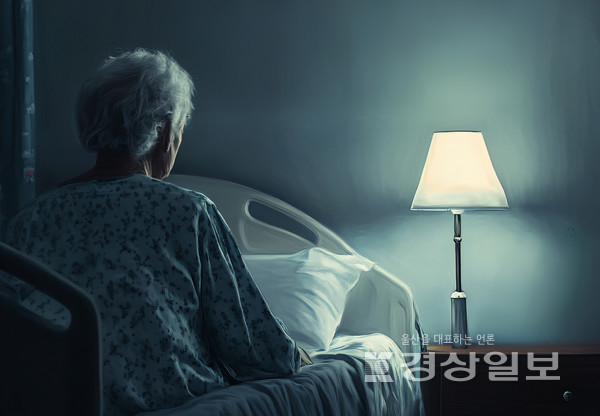 자료이미지