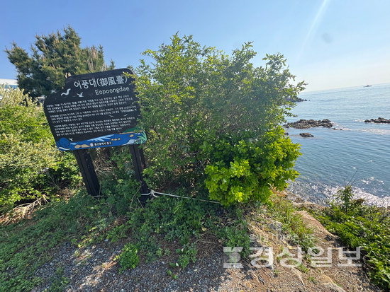 울산 동구 ‘어풍대’를 소개하는 표지판 다리에 개인이 임의로 설치한 것으로 보이는 밧줄이 묶여있다. 이 밧줄은 절벽으로 드리워져 있다.