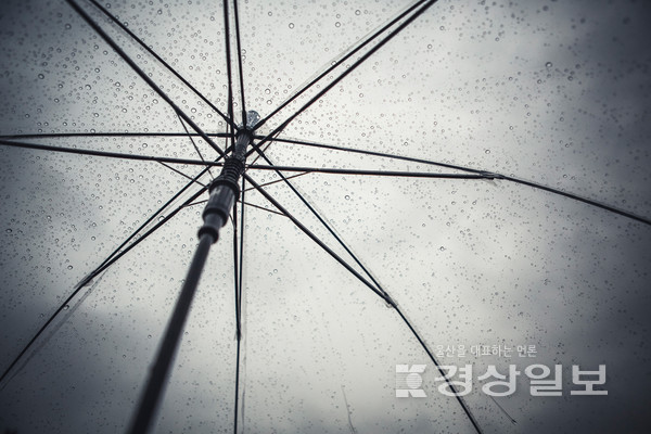 우산(자료사진)