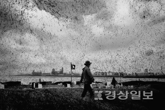 ▲ 김양수 ‘생성과 소멸의 재구성’