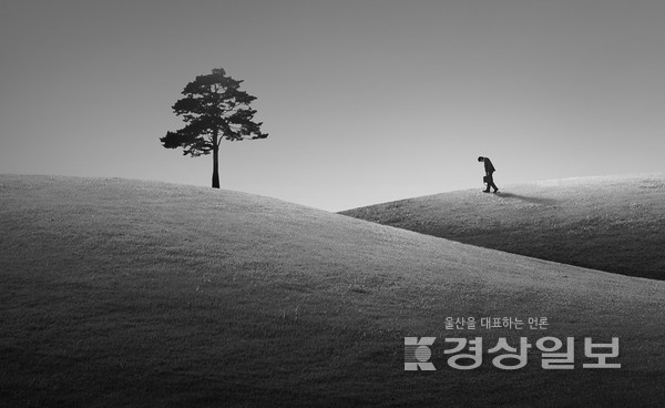 자료이미지