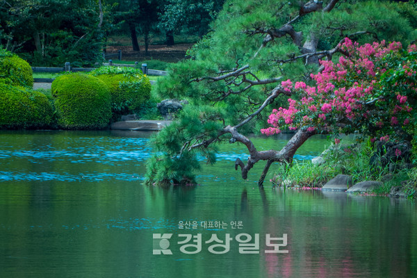 자료사진