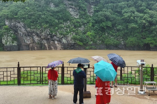 19일 울산지역에 호우경보가 발효되는 등 많은 비가 내린 가운데 세계유산으로 등재된 빈구대암각화가 급격히 불어난 물로 완전히 잠겼다. 김동수기자 dskim@ksilbo.co.kr