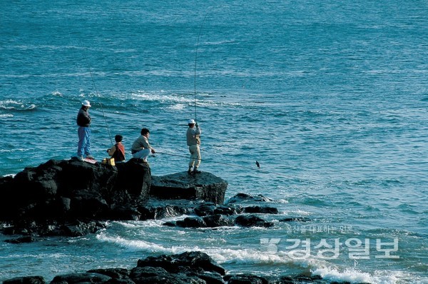자료사진 / 아이클릭아트