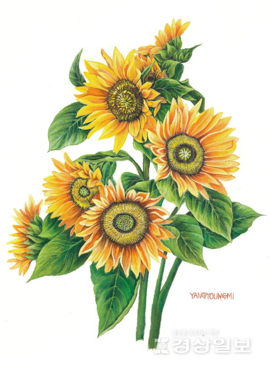 ▲ 양영미 작가 ‘해바라기’