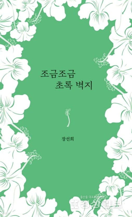 ▲ 장선희 '조금조금 초록 벽지'