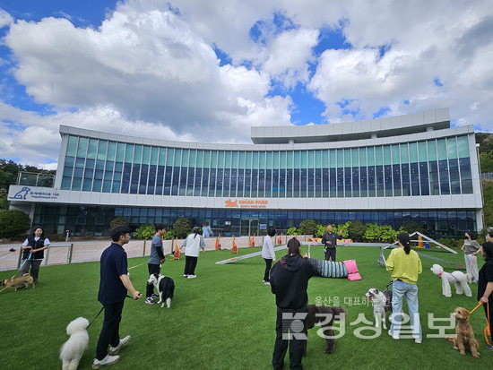▲ 울산 반려동물문화센터 스포츠 교육장.