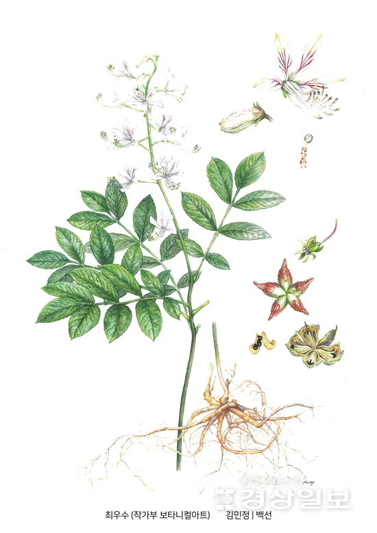 ▲ 김민정 ‘백선’